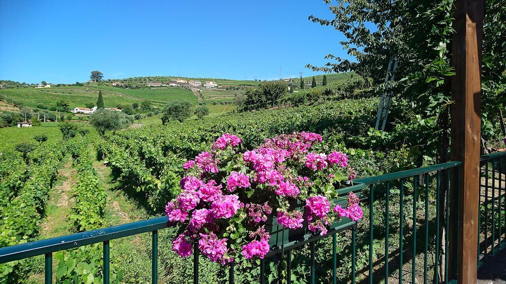 Douro Valley - Casa Vale Do Douro Lamego Ngoại thất bức ảnh